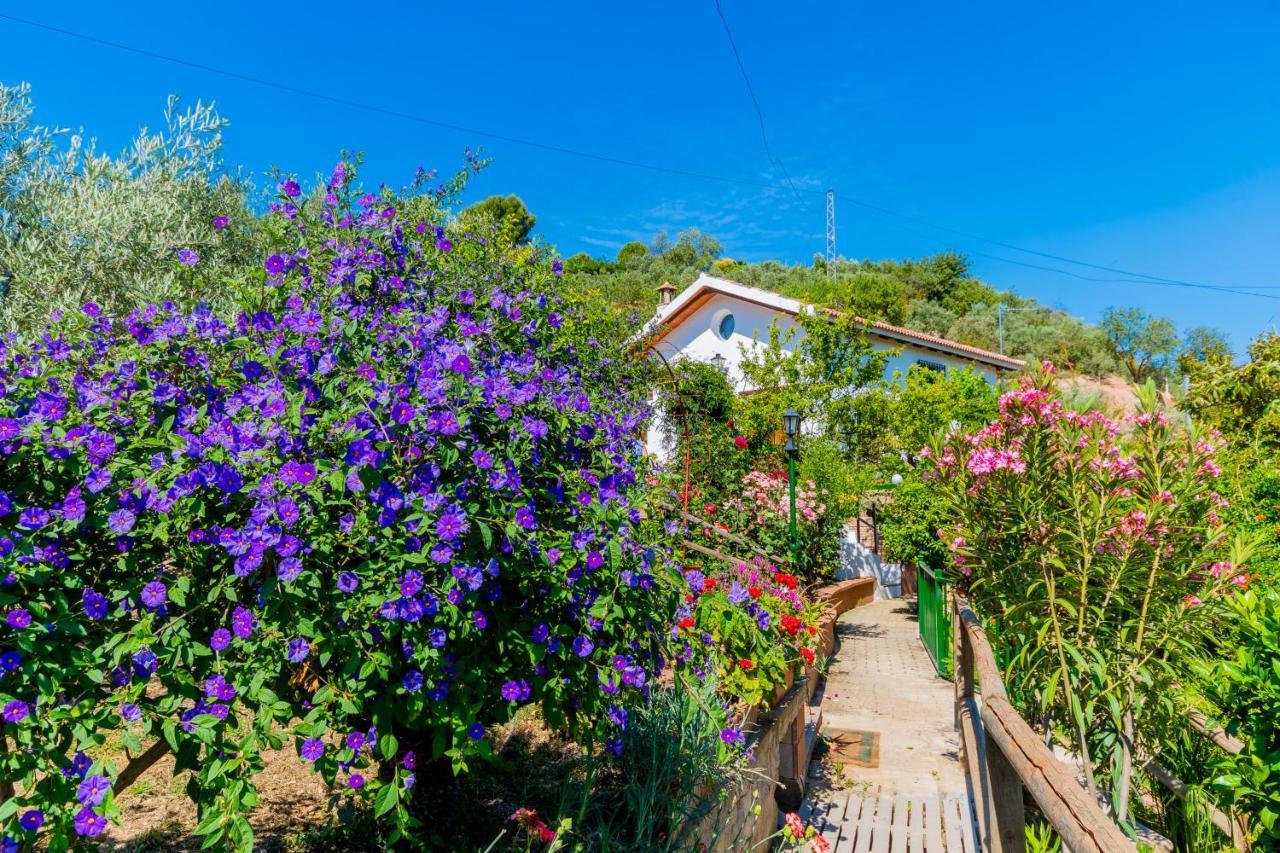 Cubo'S Casa El Pantanillo Villa Ardales Eksteriør billede